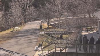 Weather camera view of Lake Roland Nature Council.
