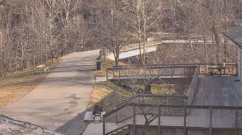 Weather camera view of Lake Roland Nature Council.