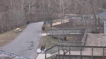 Weather camera view of Lake Roland Nature Council.