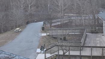 Weather camera view of Lake Roland Nature Council.