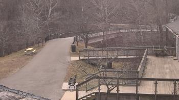 Weather camera view of Lake Roland Nature Council.