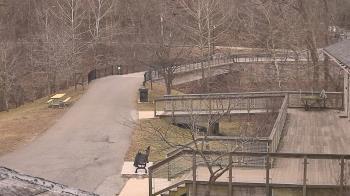 Weather camera view of Lake Roland Nature Council.