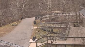 Weather camera view of Lake Roland Nature Council.