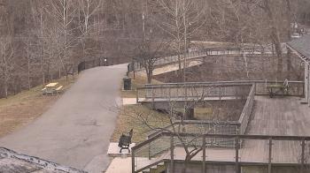 Weather camera view of Lake Roland Nature Council.