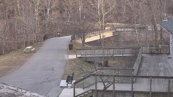 Weather camera view of Lake Roland Nature Council.