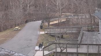 Weather camera view of Lake Roland Nature Council.