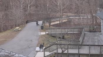 Weather camera view of Lake Roland Nature Council.