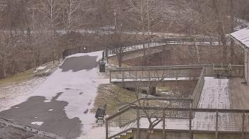 Weather camera view of Lake Roland Nature Council.