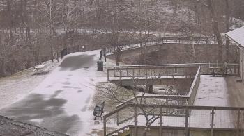 Weather camera view of Lake Roland Nature Council.