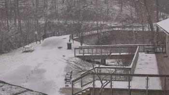 Weather camera view of Lake Roland Nature Council.