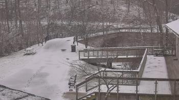 Weather camera view of Lake Roland Nature Council.