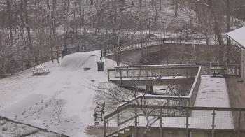 Weather camera view of Lake Roland Nature Council.