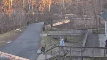 Weather camera view of Lake Roland Nature Council.
