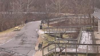 Weather camera view of Lake Roland Nature Council.