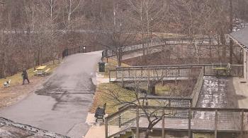 Weather camera view of Lake Roland Nature Council.