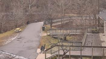 Weather camera view of Lake Roland Nature Council.