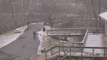 Weather camera view of Lake Roland Nature Council.