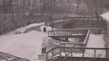 Weather camera view of Lake Roland Nature Council.