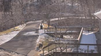 Weather camera view of Lake Roland Nature Council.