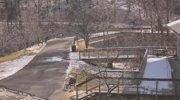 Weather camera view of Lake Roland Nature Council.