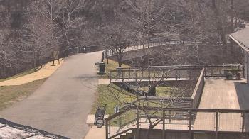 Weather camera view of Lake Roland Nature Council.