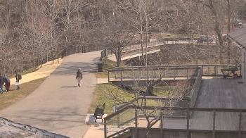 Weather camera view of Lake Roland Nature Council.
