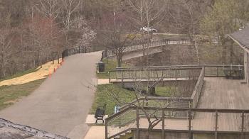 Weather camera view of Lake Roland Nature Council.