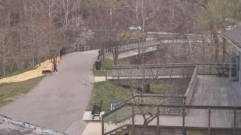 Weather camera view of Lake Roland Nature Council.