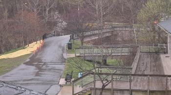 Weather camera view of Lake Roland Nature Council.