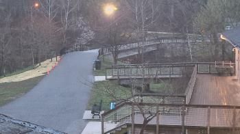 Weather camera view of Lake Roland Nature Council.