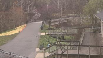 Weather camera view of Lake Roland Nature Council.