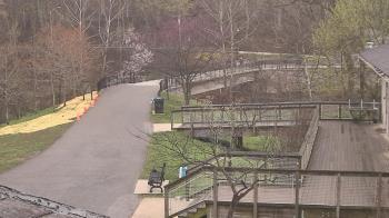 Weather camera view of Lake Roland Nature Council.