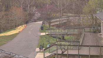 Weather camera view of Lake Roland Nature Council.