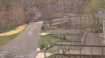 Weather camera view of Lake Roland Nature Council.