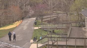 Weather camera view of Lake Roland Nature Council.