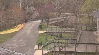 Weather camera view of Lake Roland Nature Council.