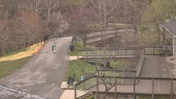 Weather camera view of Lake Roland Nature Council.