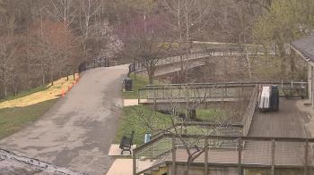 Weather camera view of Lake Roland Nature Council.