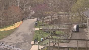 Weather camera view of Lake Roland Nature Council.