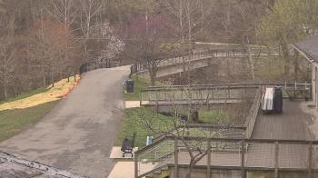 Weather camera view of Lake Roland Nature Council.