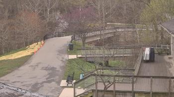 Weather camera view of Lake Roland Nature Council.