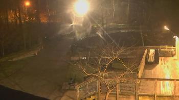 Weather camera view of Lake Roland Nature Council.