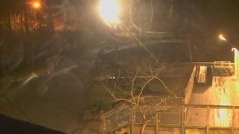 Weather camera view of Lake Roland Nature Council.