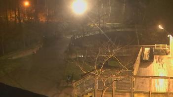 Weather camera view of Lake Roland Nature Council.