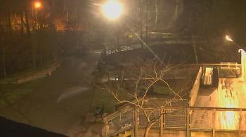 Weather camera view of Lake Roland Nature Council.