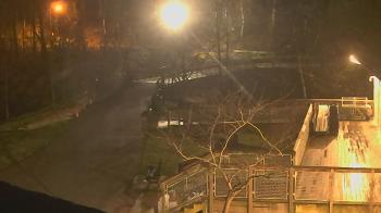 Weather camera view of Lake Roland Nature Council.