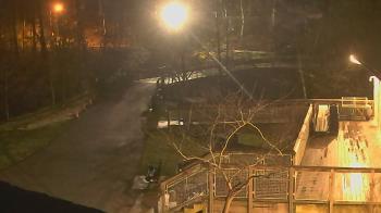 Weather camera view of Lake Roland Nature Council.