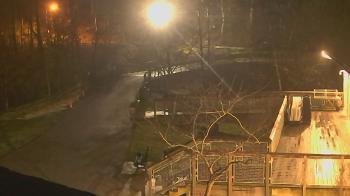 Weather camera view of Lake Roland Nature Council.