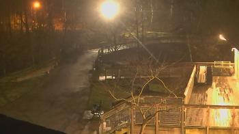 Weather camera view of Lake Roland Nature Council.