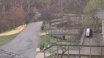 Weather camera view of Lake Roland Nature Council.